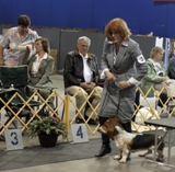 2012 National Specialty Puppy Sweepstakes